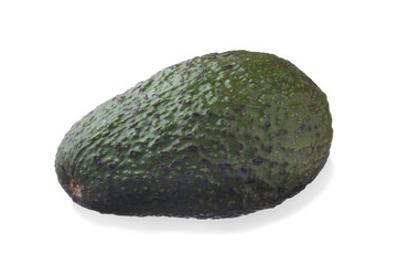 Close-up image of avocado studio isolated on white background