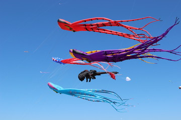 Kites in the Sky