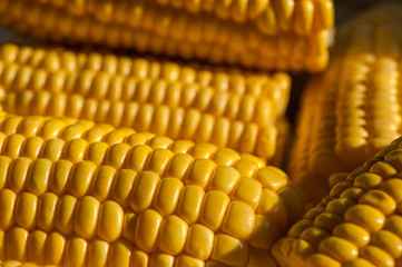 Corn on the cob kernels peeled close up