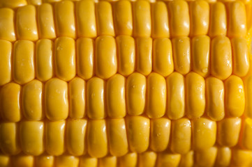 Close up of yellow corn cobs texture