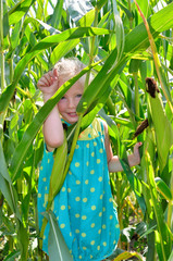 A small, cheerful girl among high, green corn.