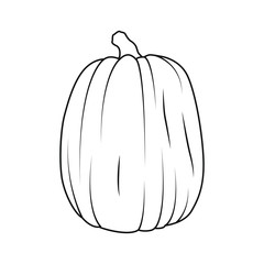 Pumpkin icon in outline style