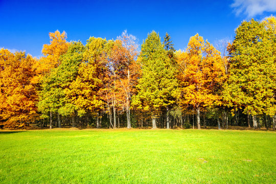 Autumn landscape