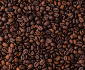 Fototapeta premium Mixture of different kinds of coffee beans. Coffee background