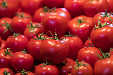 Background of many tomatoes ripe juicy red