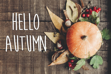 hello autumn text, greeting card. fall image flat lay. beautiful pumpkin and leaves and berries on rustic wooden background, top view. cozy autumn mood © sonyachny
