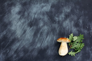 delicacy autumnal/ white mushroom boletus with oak leaves on a chalkboard a view from above