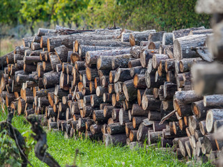 Brennholzlager auf Wiese © focus finder