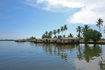 Houseboats lined up on a sunny day on the Kerala backwaters, India