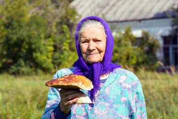 Old woman with mushrooms in her hands. Grandmother gathers mushrooms in the village.