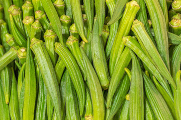 Okra at Farmers Market
