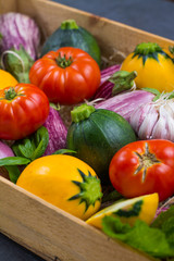 Colorful Fresh organic vegetables - round courgette, small eggplants, tomatoes, diet concept, Italian and French food, healthy food.