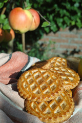 Traditional Dutch autumn apple filled cookies server in the garden under apple tree with big ripe apples