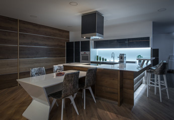 Modern kitchen interior