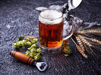 Mug of beer, hops and malt