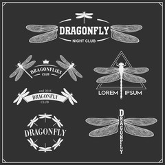 Set of dragonflies icons, labels and emblems. Vector illustration.