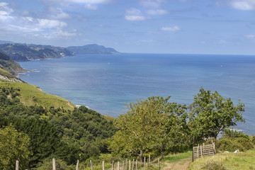 Zumaia coast