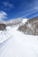 冬晴れのスキー場