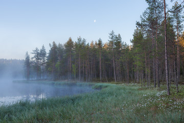 Fototapeta premium Foggy morning at forest pond landscape Finland