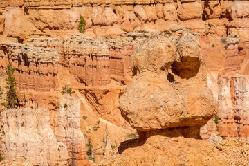 Bryce Canyon National Park, Utah, Hoodoos, Spires Pinnacles, Red Rock