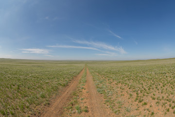 Fototapeta na wymiar summer in the Gobi Desert, Mongolia