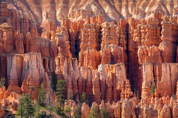 Bryce Canyon National Park, Utah, Hoodoos, Spires Pinnacles, Red Rock - obrazy, fototapety, plakaty