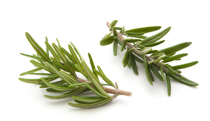 rosemary isolated on white