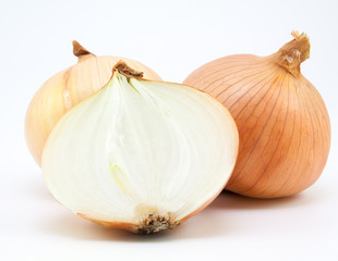 fresh bulbs of onion