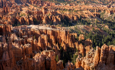 Bryce Canyon National Park, Utah, Hoodoos, Spires Pinnacles, Red Rock