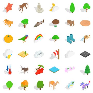 Forest icons set, isometric style