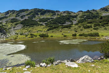 Fototapeta na wymiar Amazing Summer Panorama with Prevalski lakes, Pirin Mountain, Bulgaria