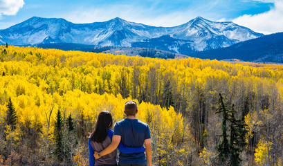 Kebler Pass, CO Aspen Changing Color Gold, Autumn