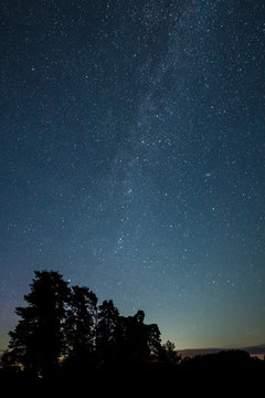 Milky way galaxy in clear starry night sky and tree silhouettes