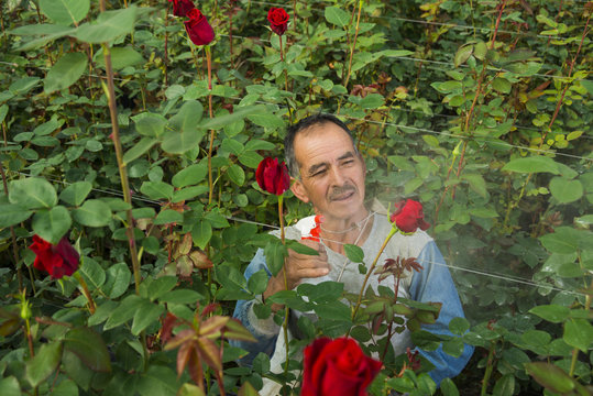 agricultor fumigando rosas