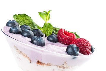 Fruit Yogurt