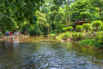 Beautiful brook in the natural