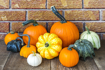 Pumpkins, squash and gourds sitting on rustic wooden surface with red orange brick