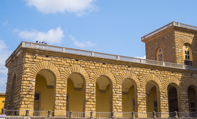 Famous Pitti Palace in the city of Florence (called Palazzo Pitti)
