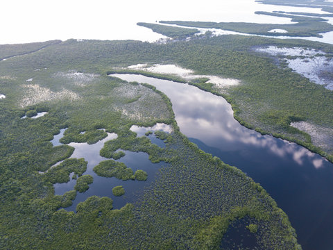 Aerial View Of Mangrove Islands In Turneffe Atoll