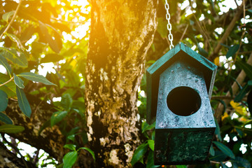 Birdhouse in green garden.