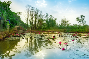 Landscape Myduc,Vietnam