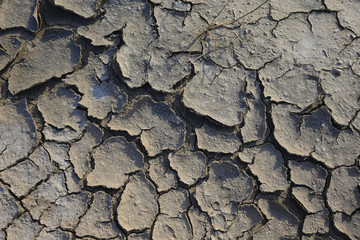 Climate warming dry chapped land
