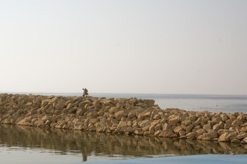 Fototapeta na wymiar A man on a pileof stones on the beach