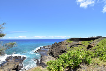 Fototapeta na wymiar ハワイの風景