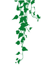 ivy leaves silhouette