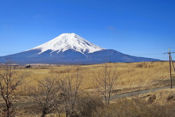 Fototapeta premium Fuji in spring time with dry grass field, dry tree and clear blue sky in the morning. Fuji is famous mountain of Japan.