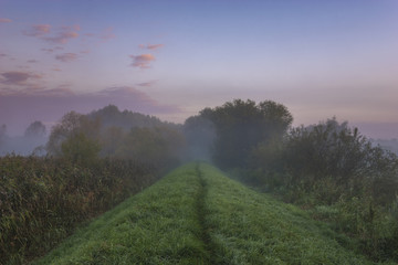 flood embankment along the river in the morning, Police Area, Szczecin
