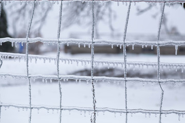Icy fence in winter