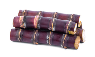 Sugar cane on white background.