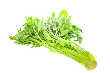 Fresh celery isolated on white background